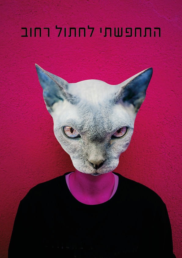 pink cat